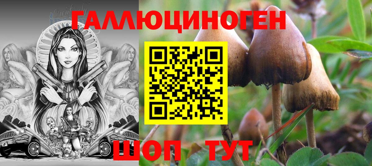 Екатеринбург  Псилоцибиновые грибы прущие грибы  Вход с VPN  Галлюциногенные грибы мухоморы 
